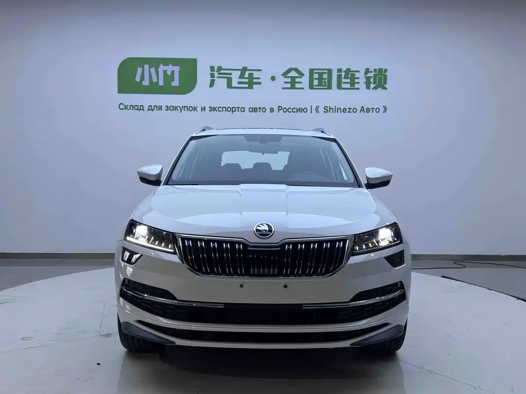 Skoda Karoq — миниатюра 2