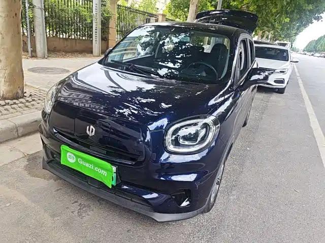 2021 Leapmotor T03