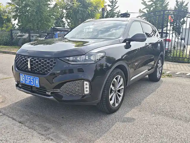 2019 Wey VV6