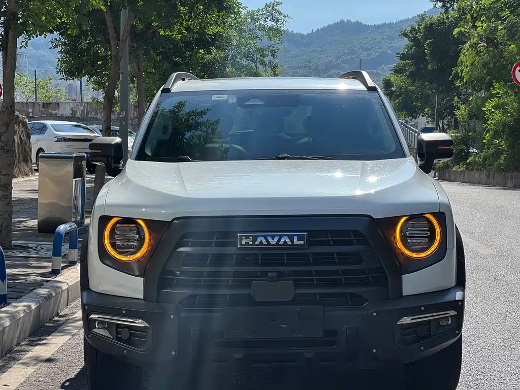 Haval Big Dog — миниатюра 12