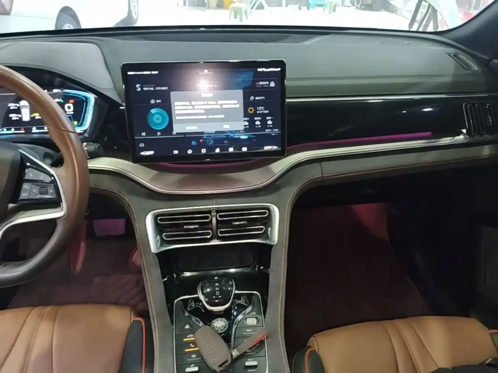 BYD PLUS — миниатюра 13