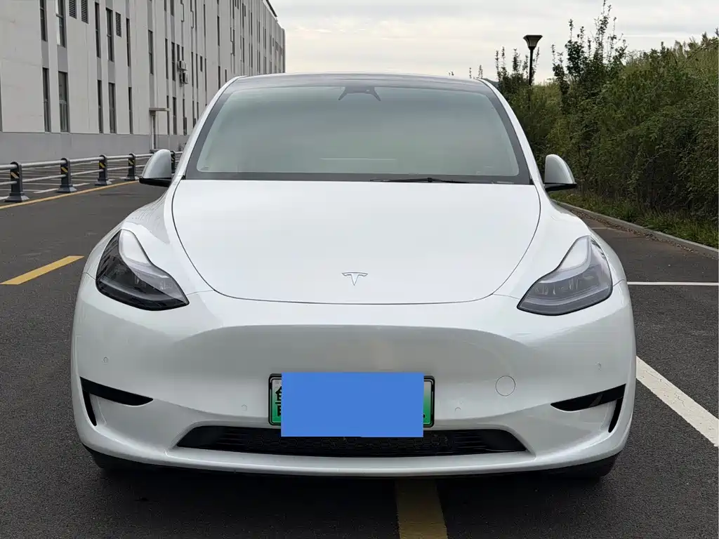 Tesla Model Y — миниатюра 2