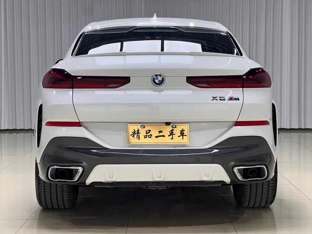 BMW X6 2020 xDrive40i M Sport
