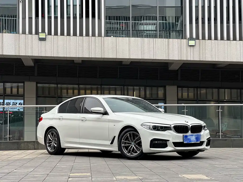 BMW 5 Series (Import) — миниатюра 3