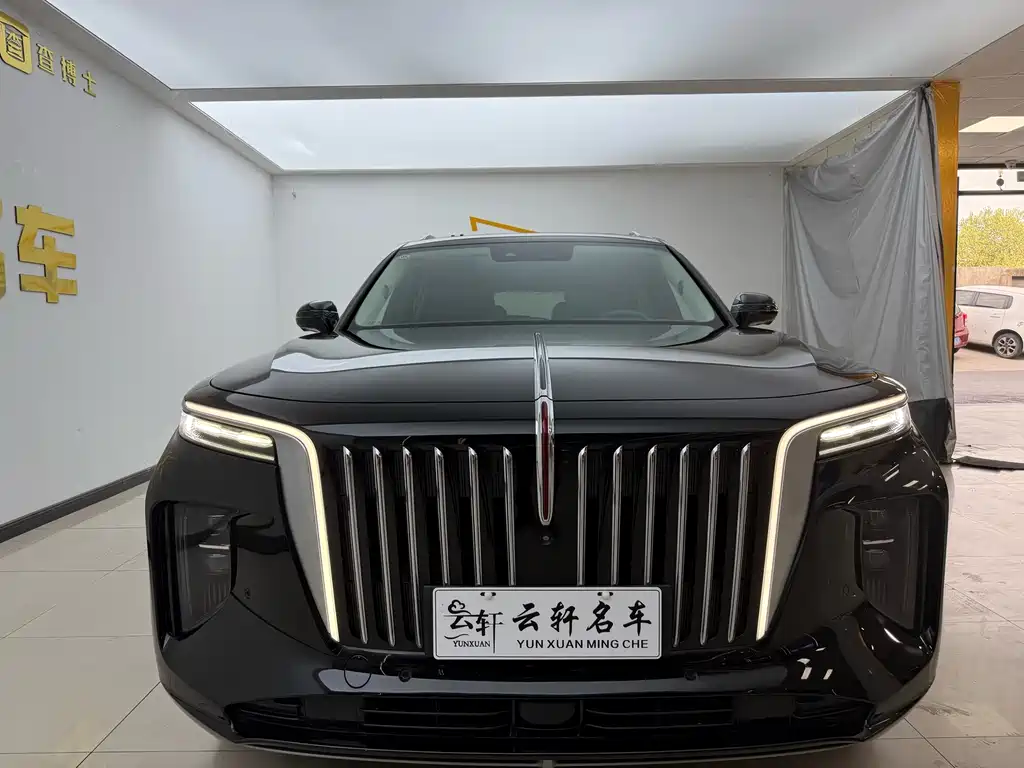 Hongqi Hongqi E-HS9 — миниатюра 2