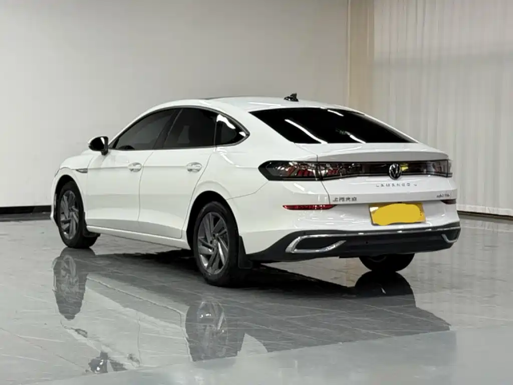 Volkswagen Lamando — миниатюра 4