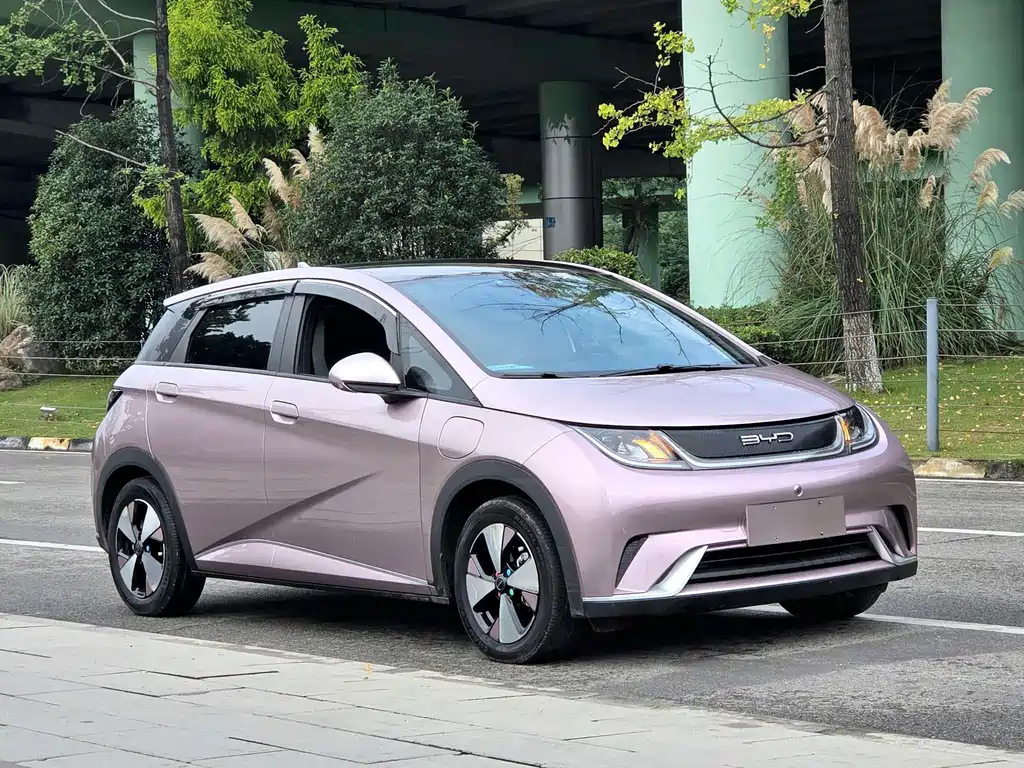 BYD Dolphin — миниатюра 3