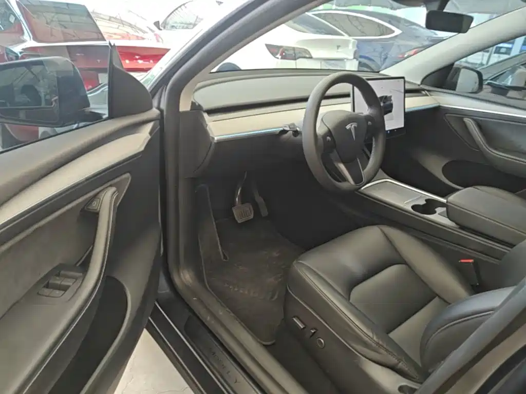 Tesla Model Y — миниатюра 16