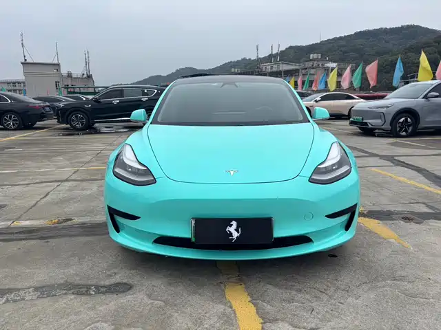 TESLA MODEL 3 2020