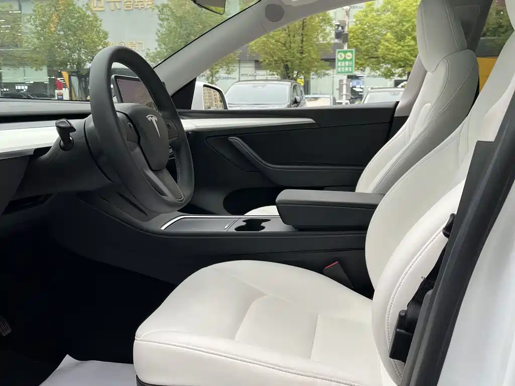 Tesla Model Y — миниатюра 9