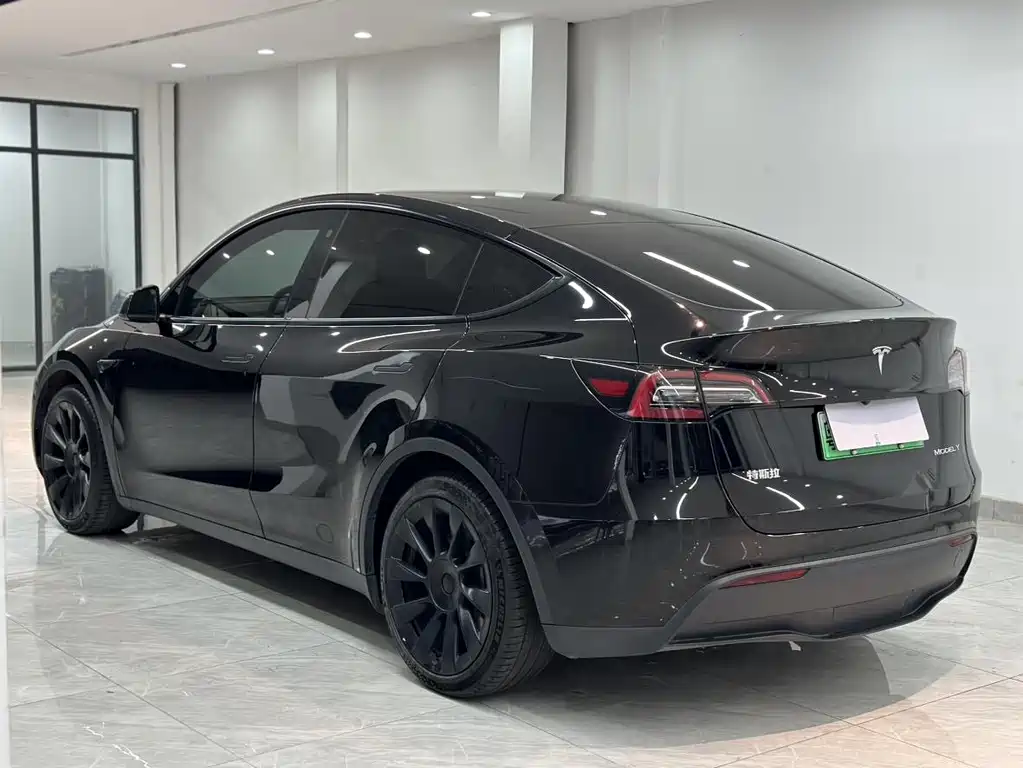 Tesla Model Y — миниатюра 4