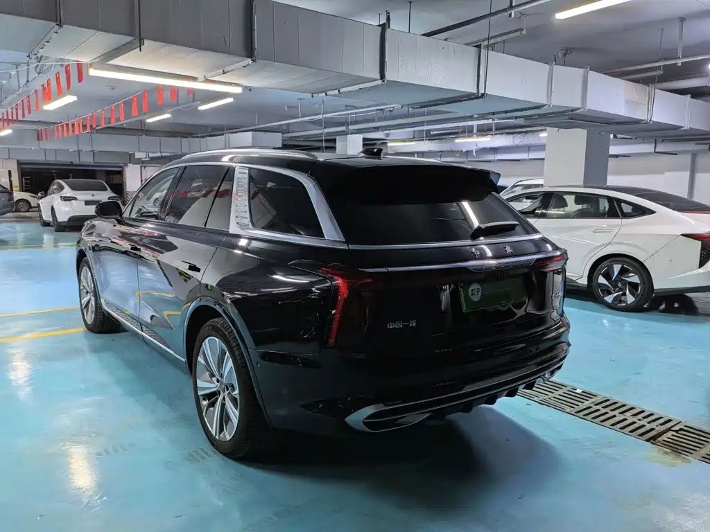 Hongqi Hongqi E-HS9 — миниатюра 5