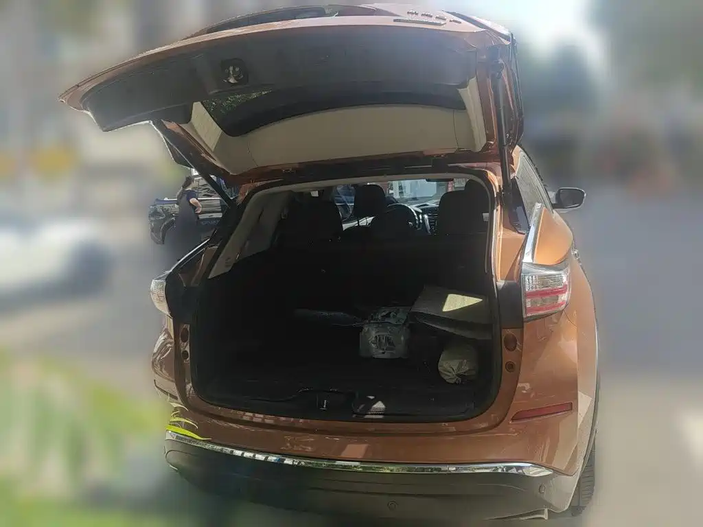Nissan Murano — миниатюра 20
