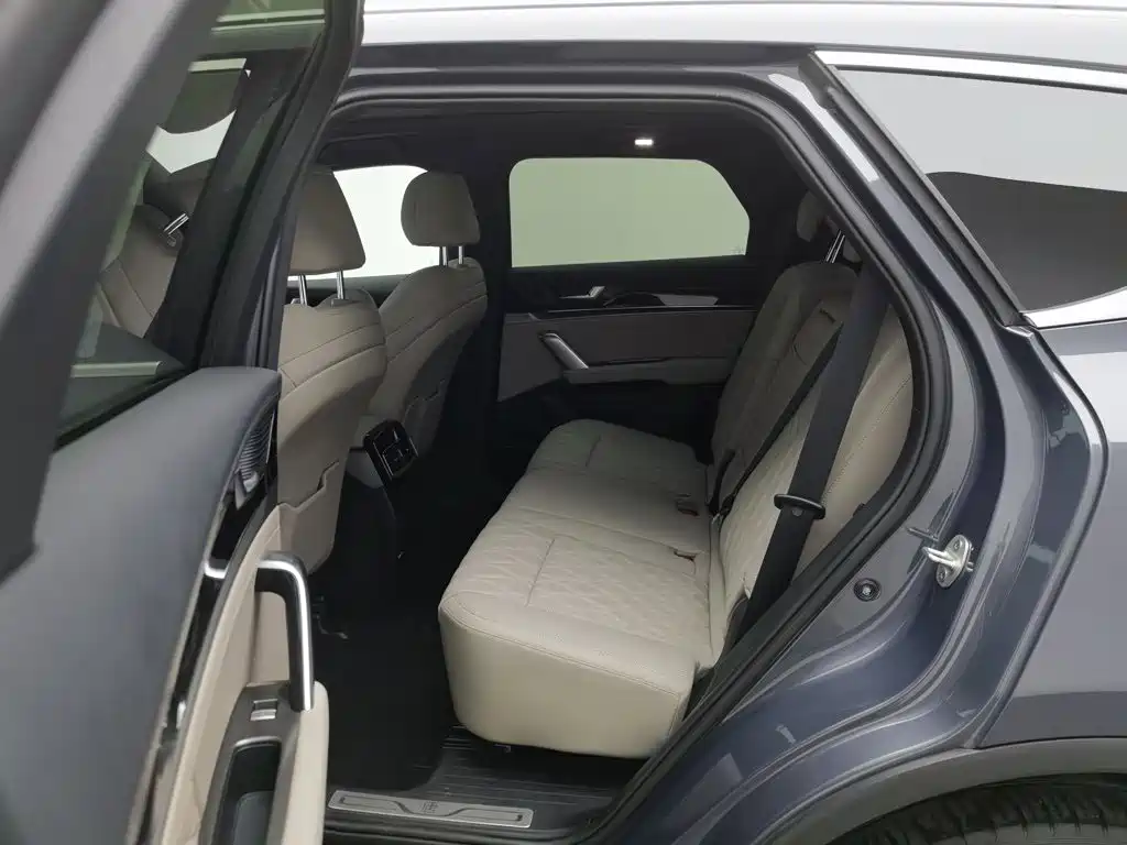 BYD Tang New Energy — миниатюра 15