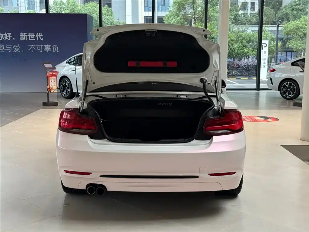 BMW 2 Series (Import) — миниатюра 13