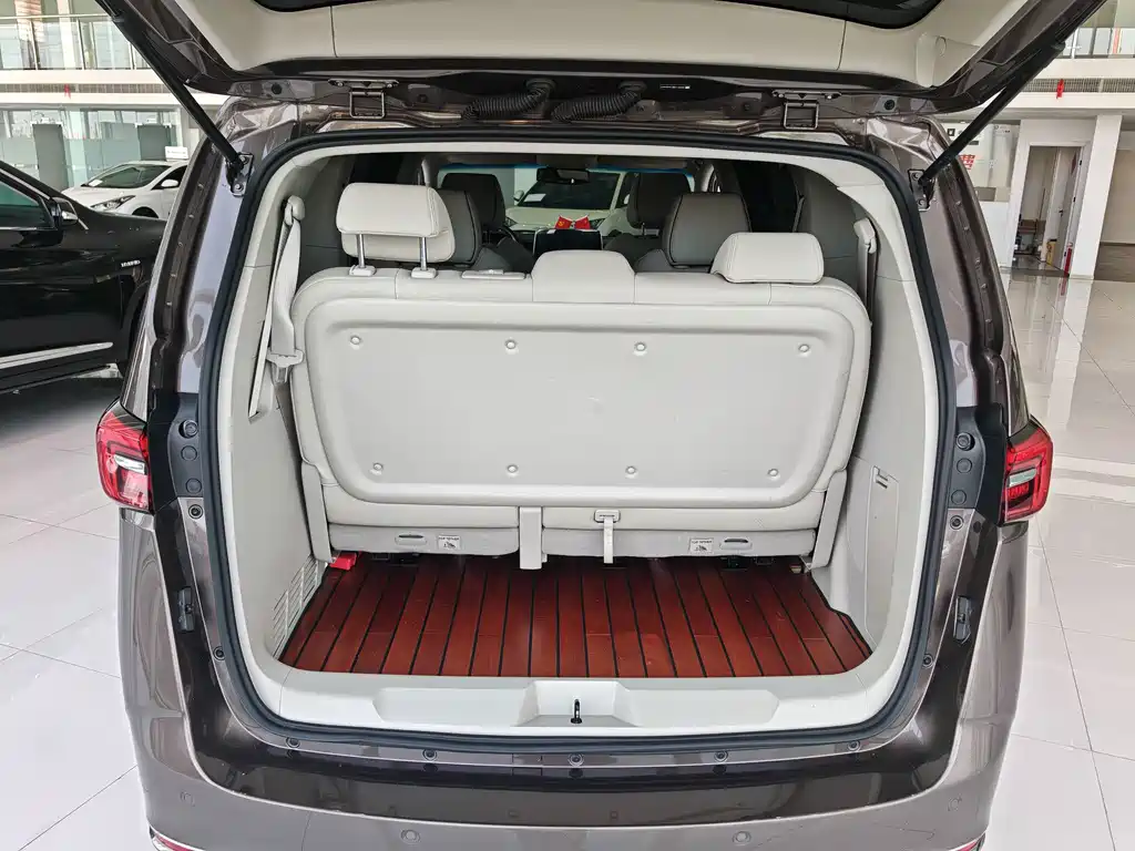 Buick GL8 — миниатюра 11
