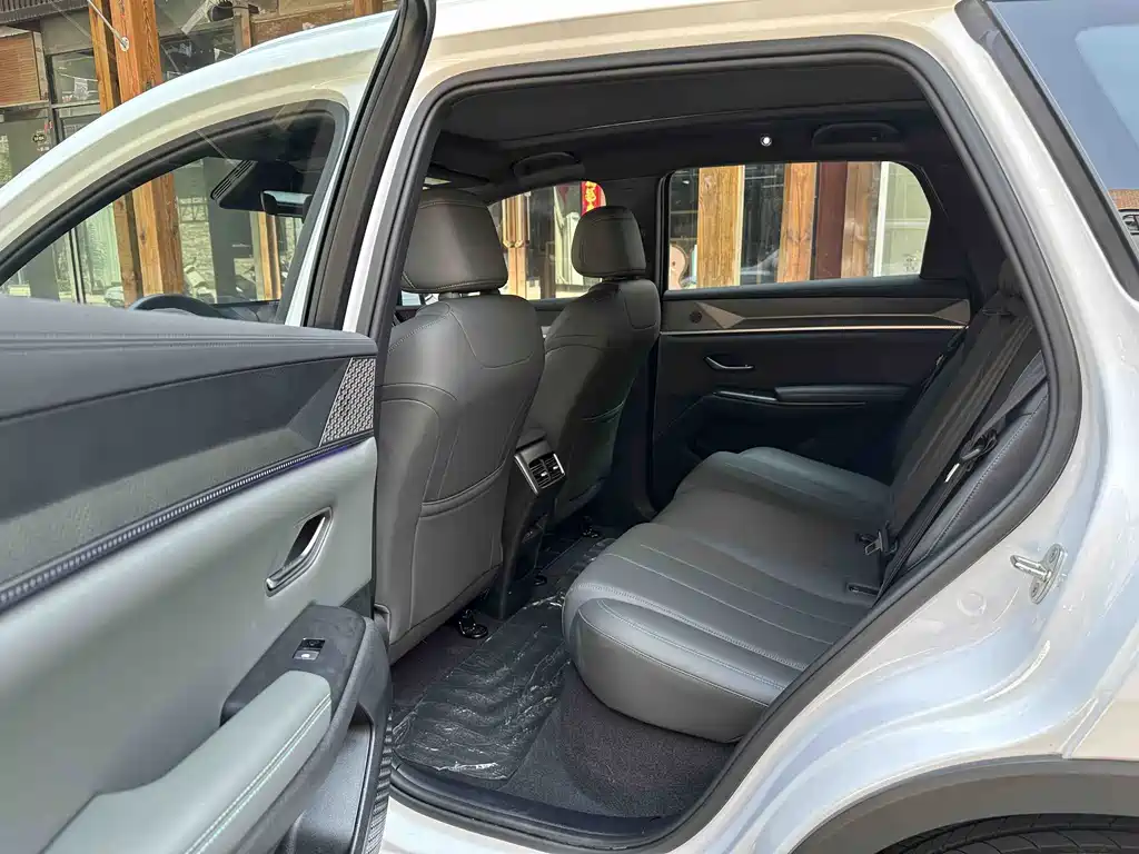 BYD Pro New Energy — миниатюра 7