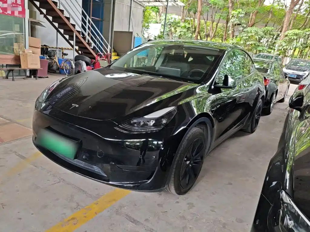 Tesla Model Y — миниатюра 2