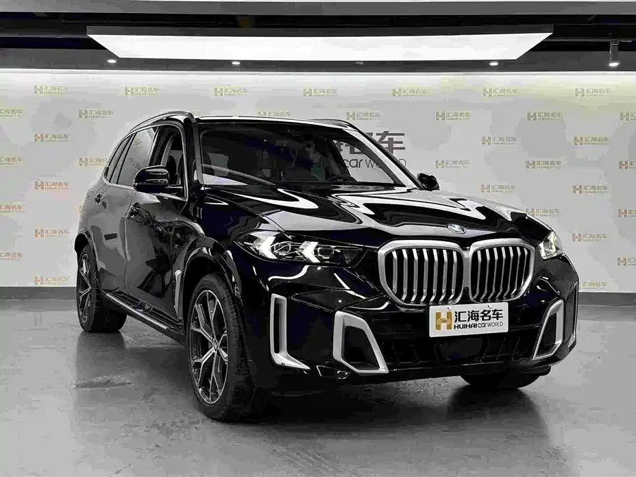 BMW X5 — миниатюра 3