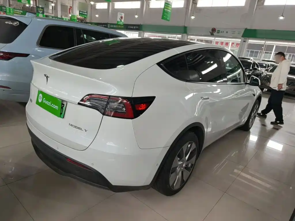 Tesla Model Y — миниатюра 7
