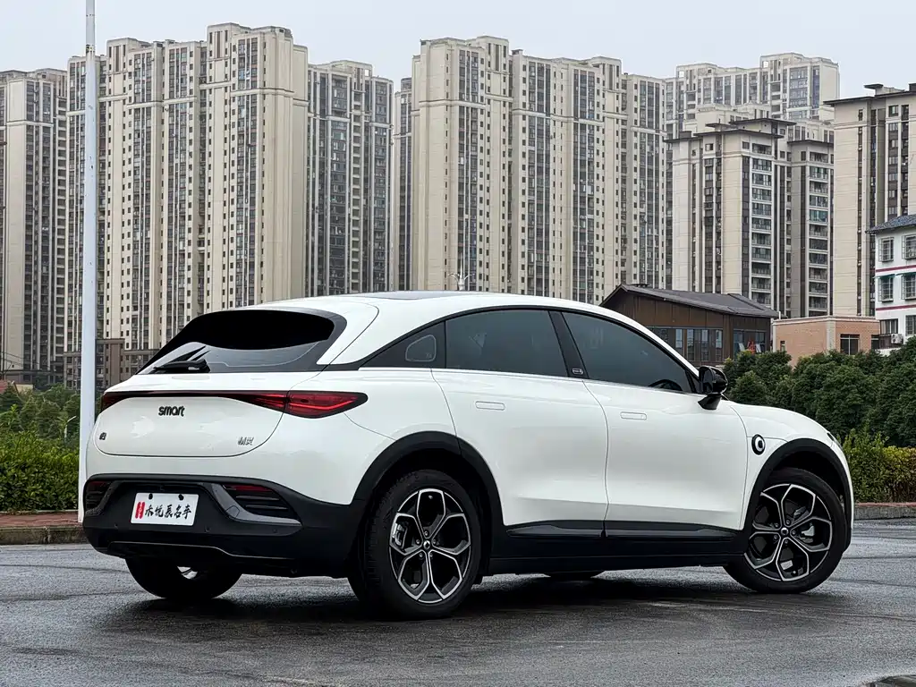smart Smart #3 — миниатюра 12