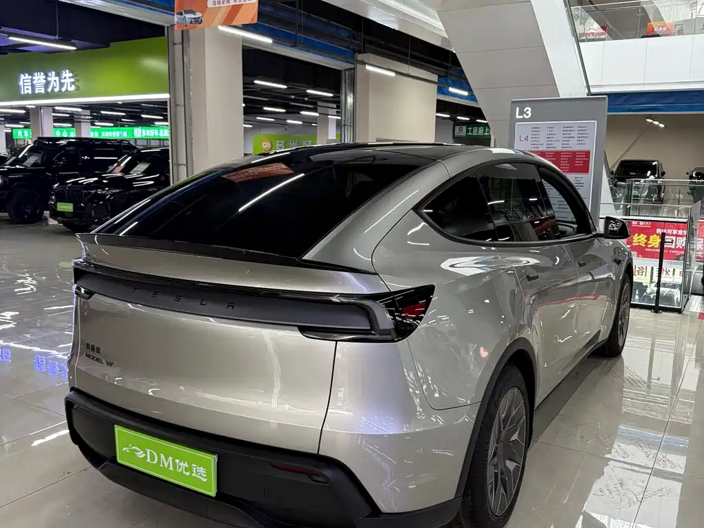 Tesla Model Y L