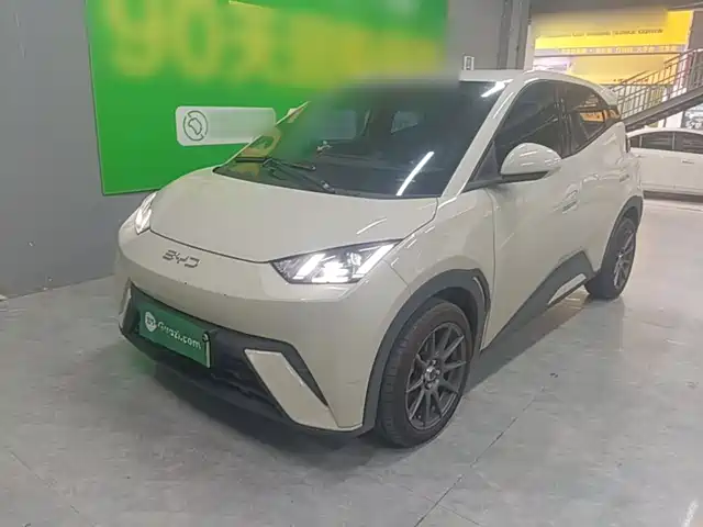 2024 BYD Seagull