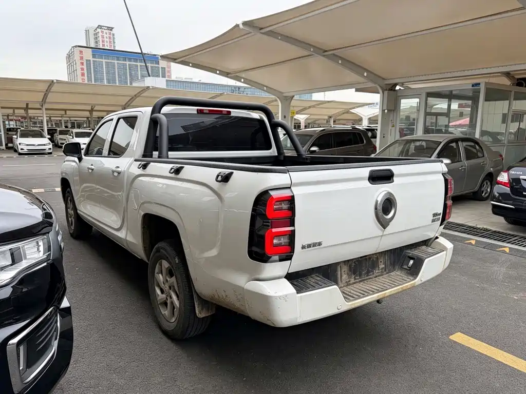 Great Wall King Kong Pao — миниатюра 11