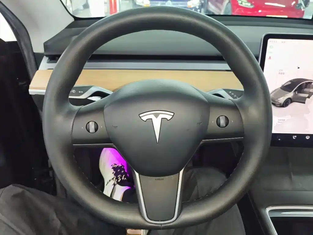 Tesla Model Y — миниатюра 11