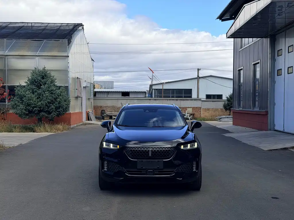 Wey Wey VV7 — миниатюра 2