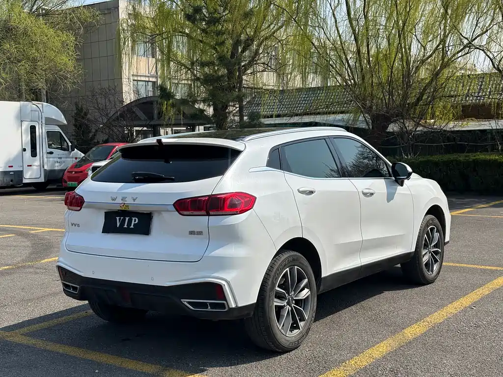 WEI PAI WEI BRAND VV5