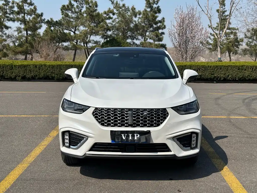 WEI PAI WEI BRAND VV5