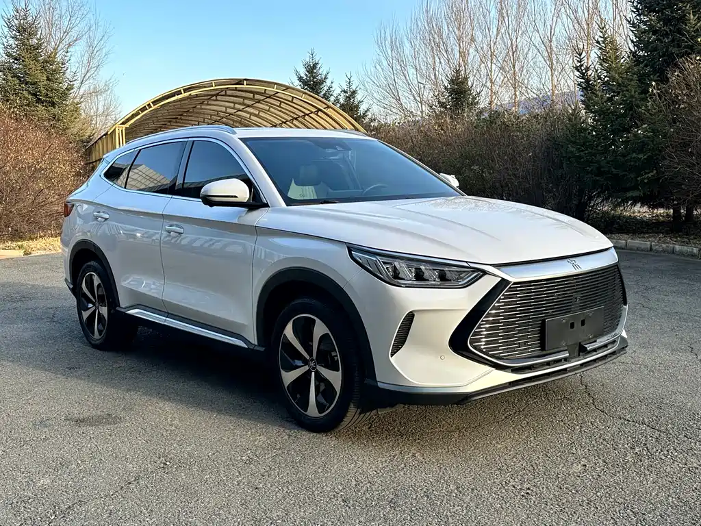 BYD SONGJIANG NEW ENERGY