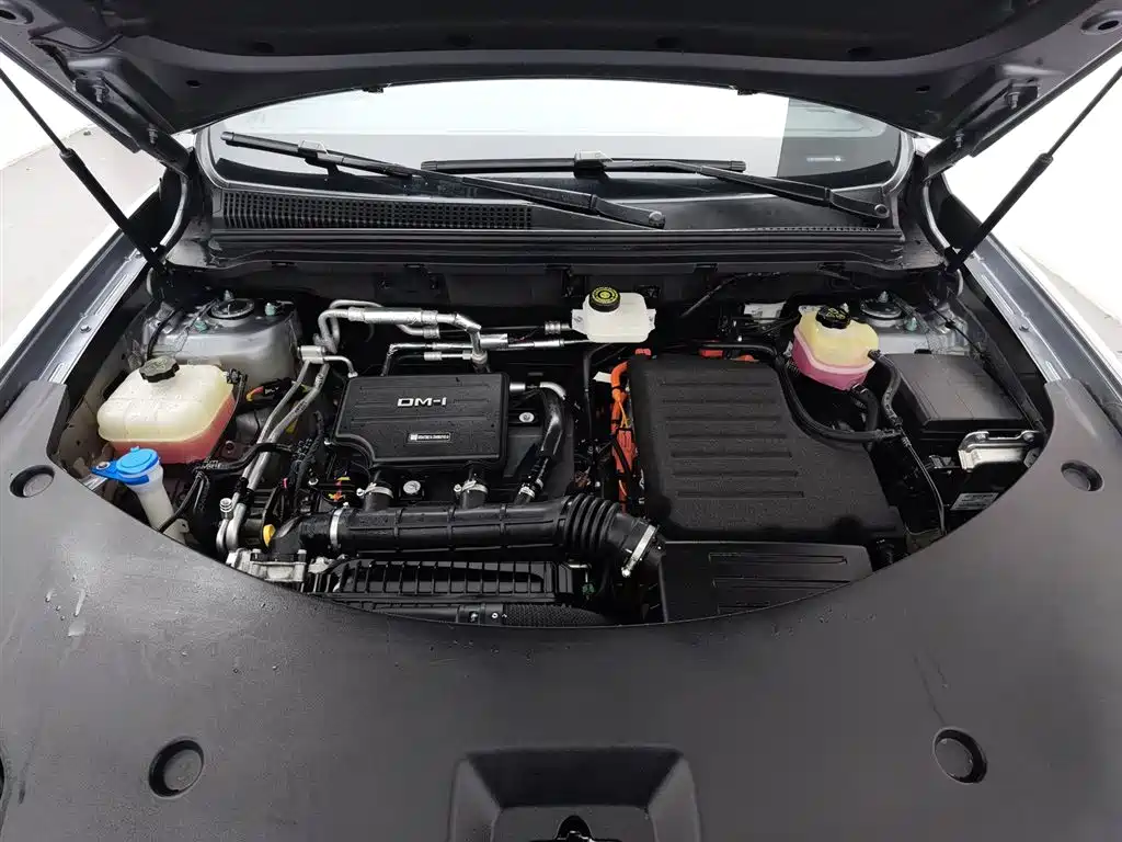 BYD SONGJIANG NEW ENERGY