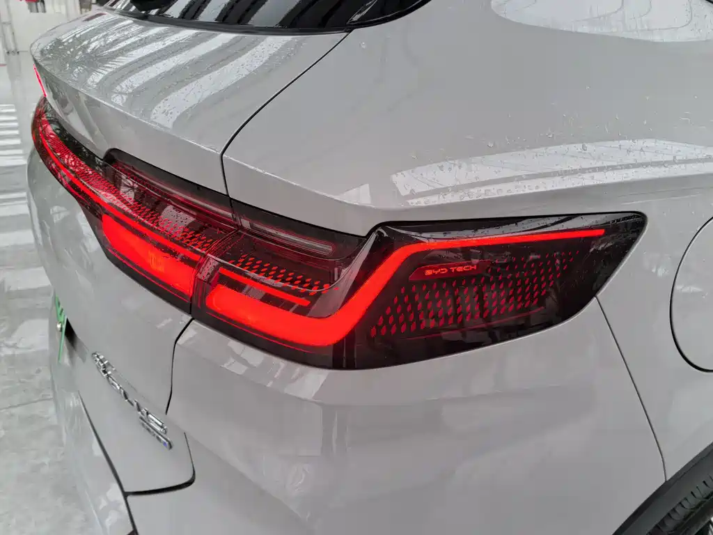 BYD SONGJIANG NEW ENERGY