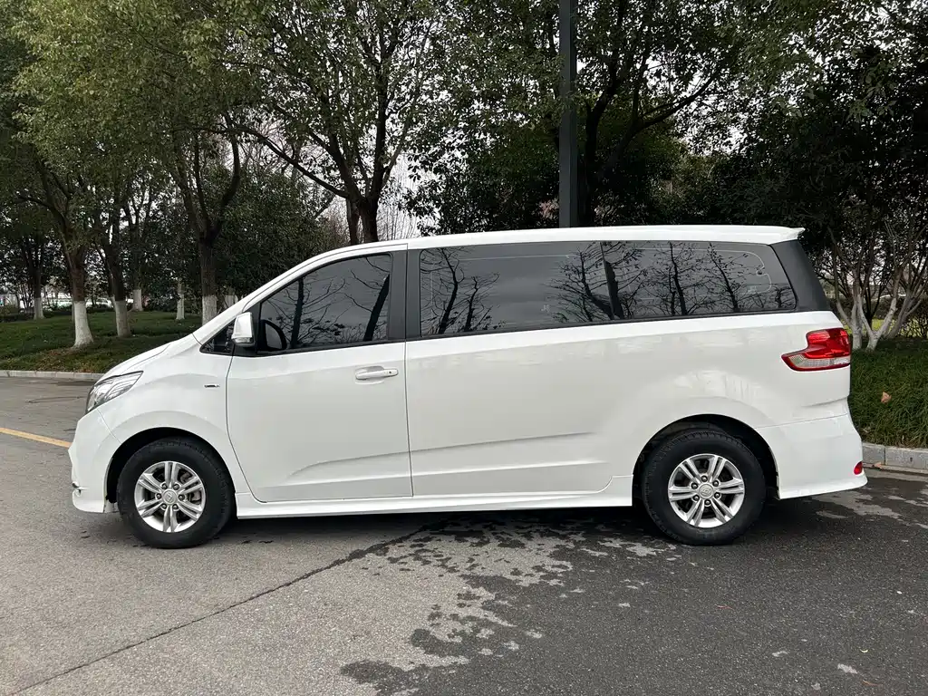 SAIC MAXUS CHASE G10