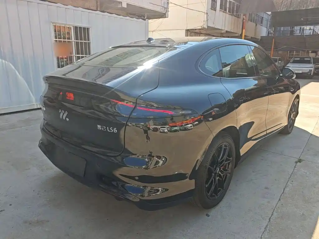 IM IM LS6 — миниатюра 7