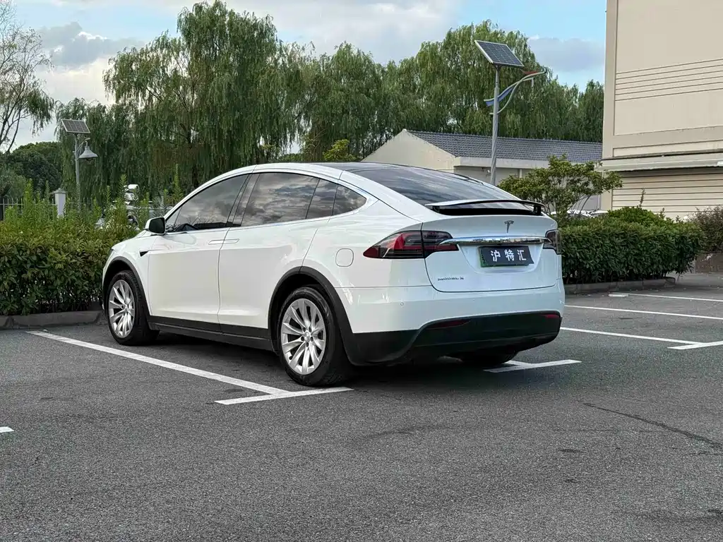 Tesla Model X — миниатюра 7