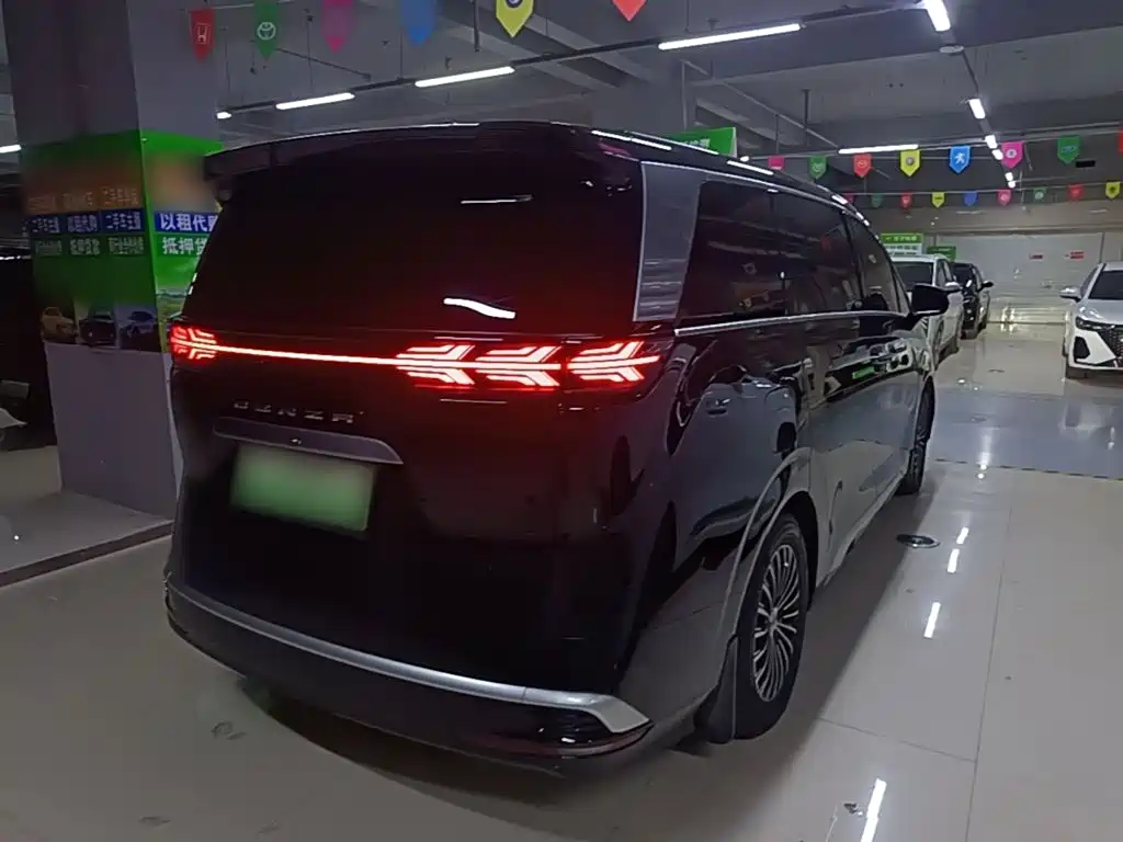 Denza Denza D9 — миниатюра 7