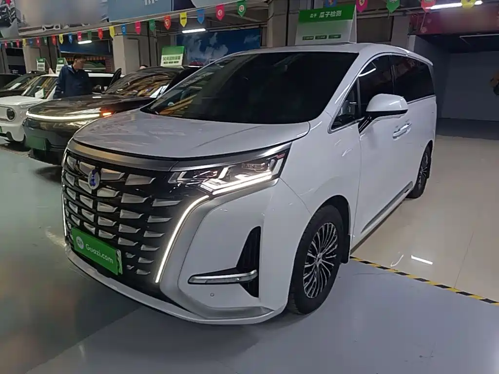 Denza Denza D9 — миниатюра 2