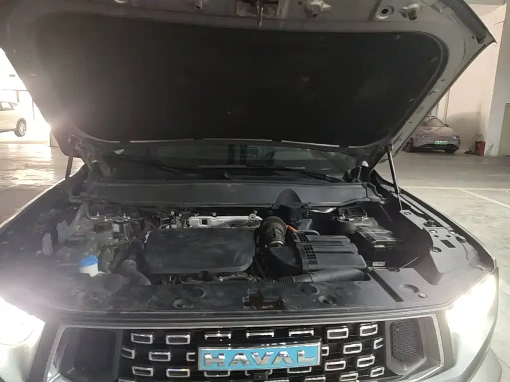 Haval Плюс новая энергия. — миниатюра 20