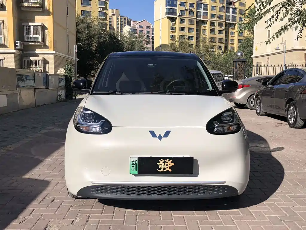 Wuling Bingo