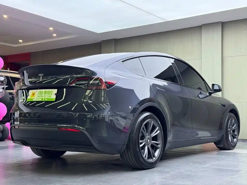 Tesla Model Y — миниатюра 4