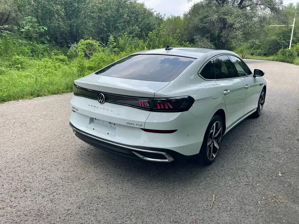 Volkswagen Lamando — миниатюра 15
