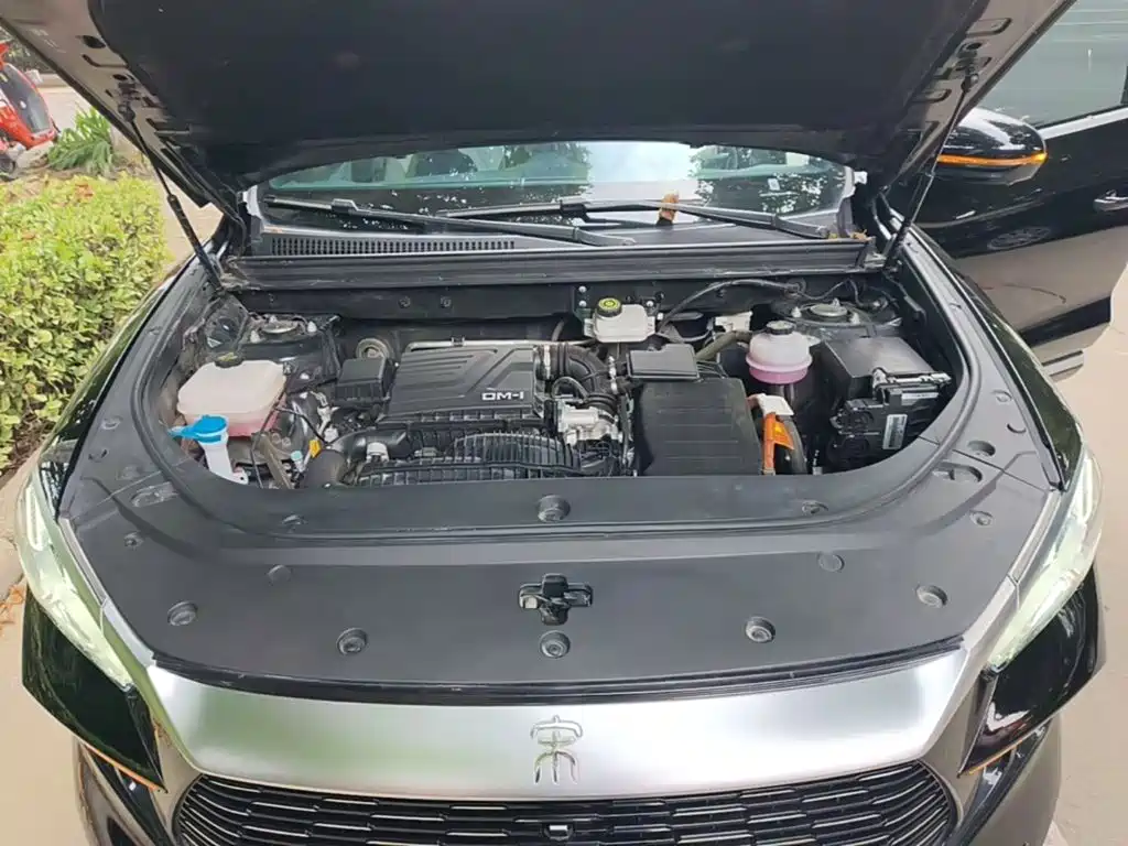 BYD Pro New Energy — миниатюра 20