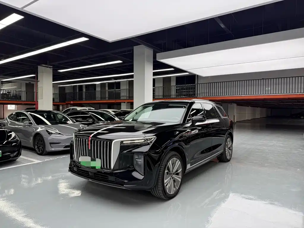 Hongqi Hongqi E-HS9