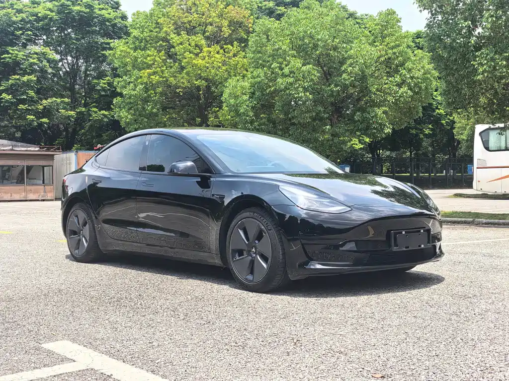 Tesla Model 3 — миниатюра 3