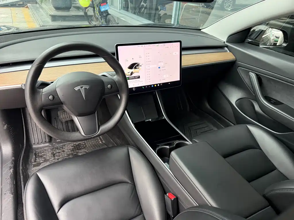 Tesla Model 3 — миниатюра 4