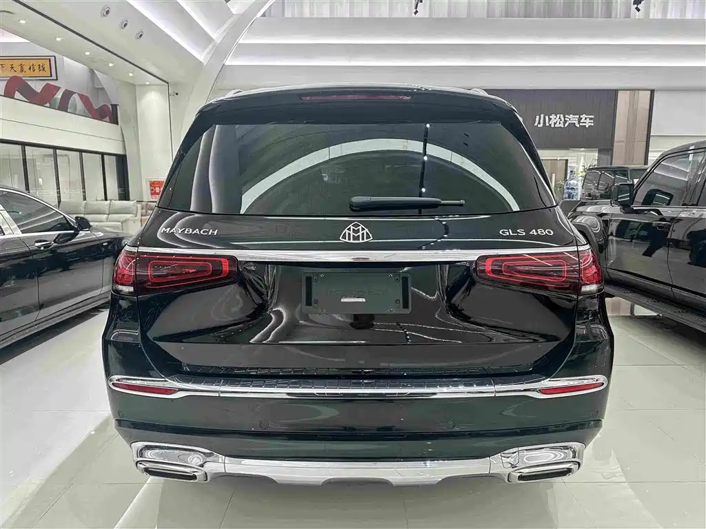 Mercedes-Benz GLS — миниатюра 22