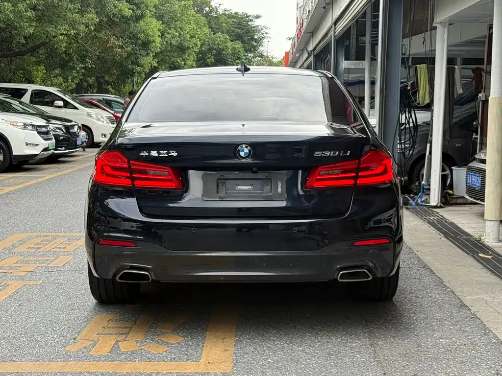 BMW 5 Series — миниатюра 4
